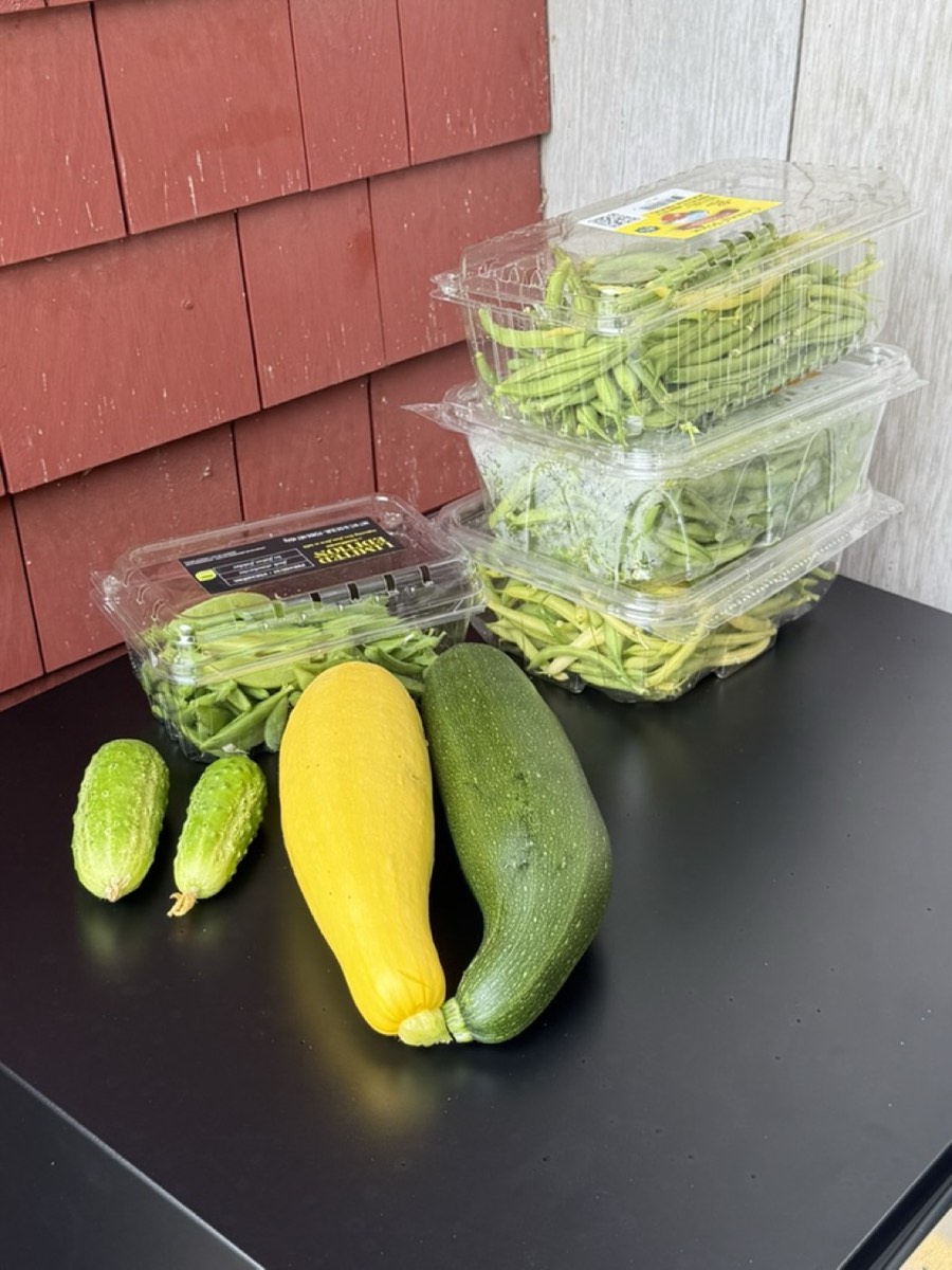Fresh-picked vegetables from the community garden